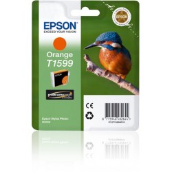 Epson Cartouche Martin-pêcheur - Encre UltraChrome Hi-Gloss2 Orange